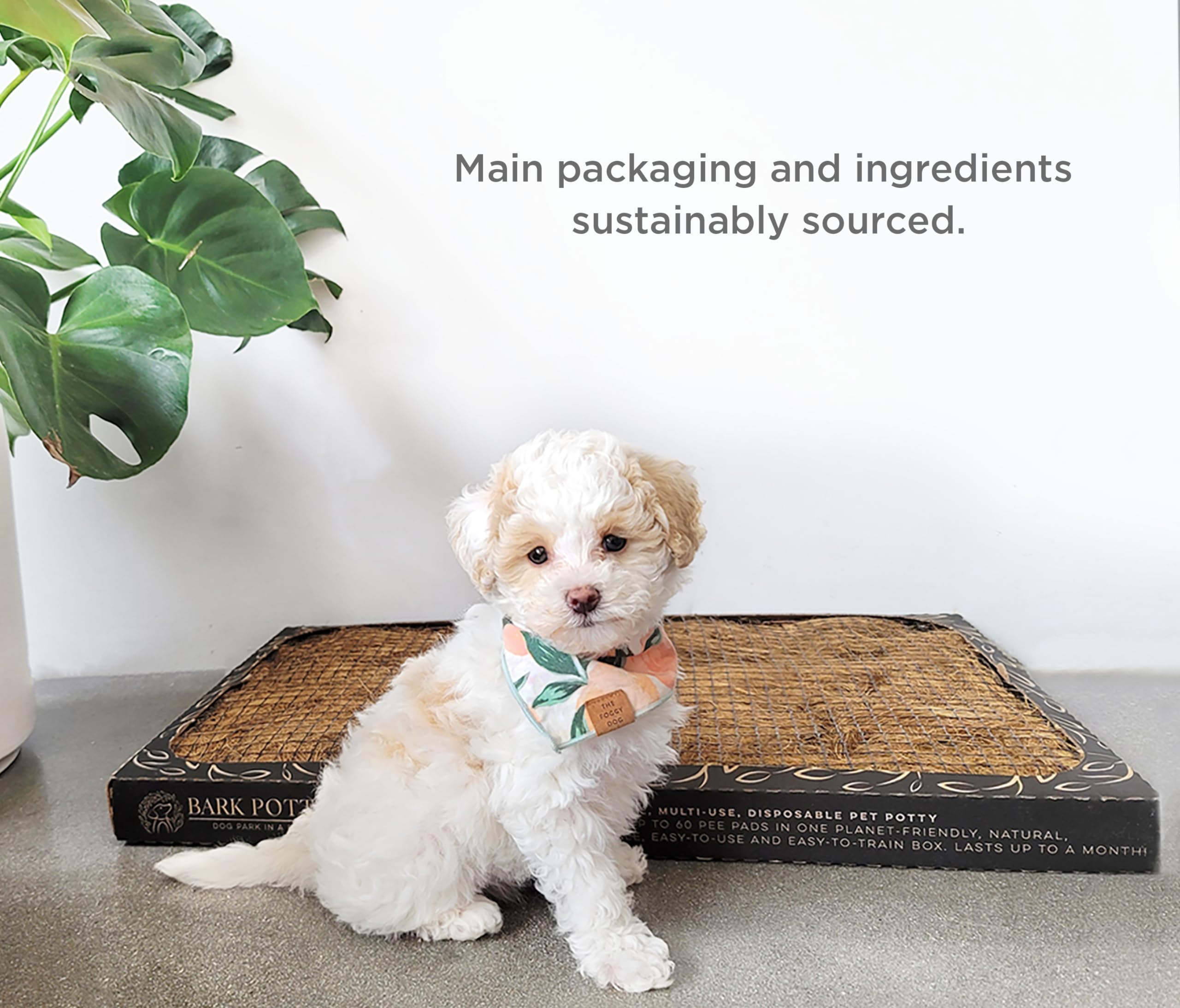 Bark Potty indoor-outdoor-solution image conveys versatile potty spot for apartments or travel