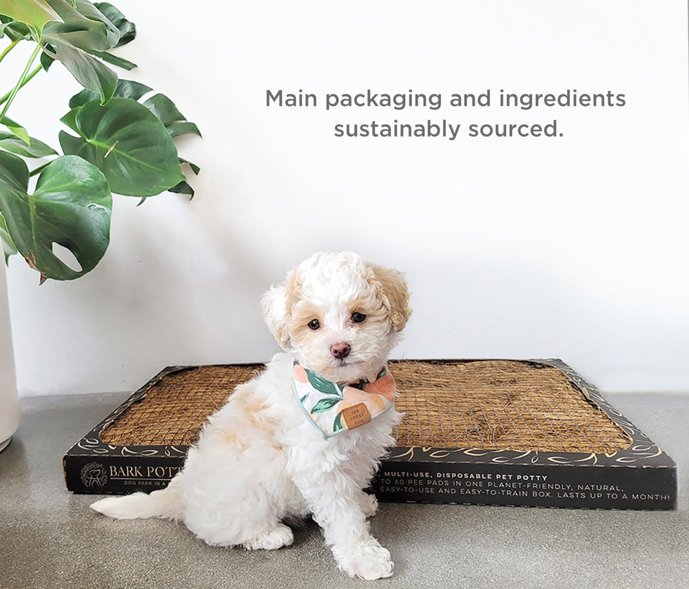 Bark Potty indoor-outdoor-solution image conveys versatile potty spot for apartments or travel