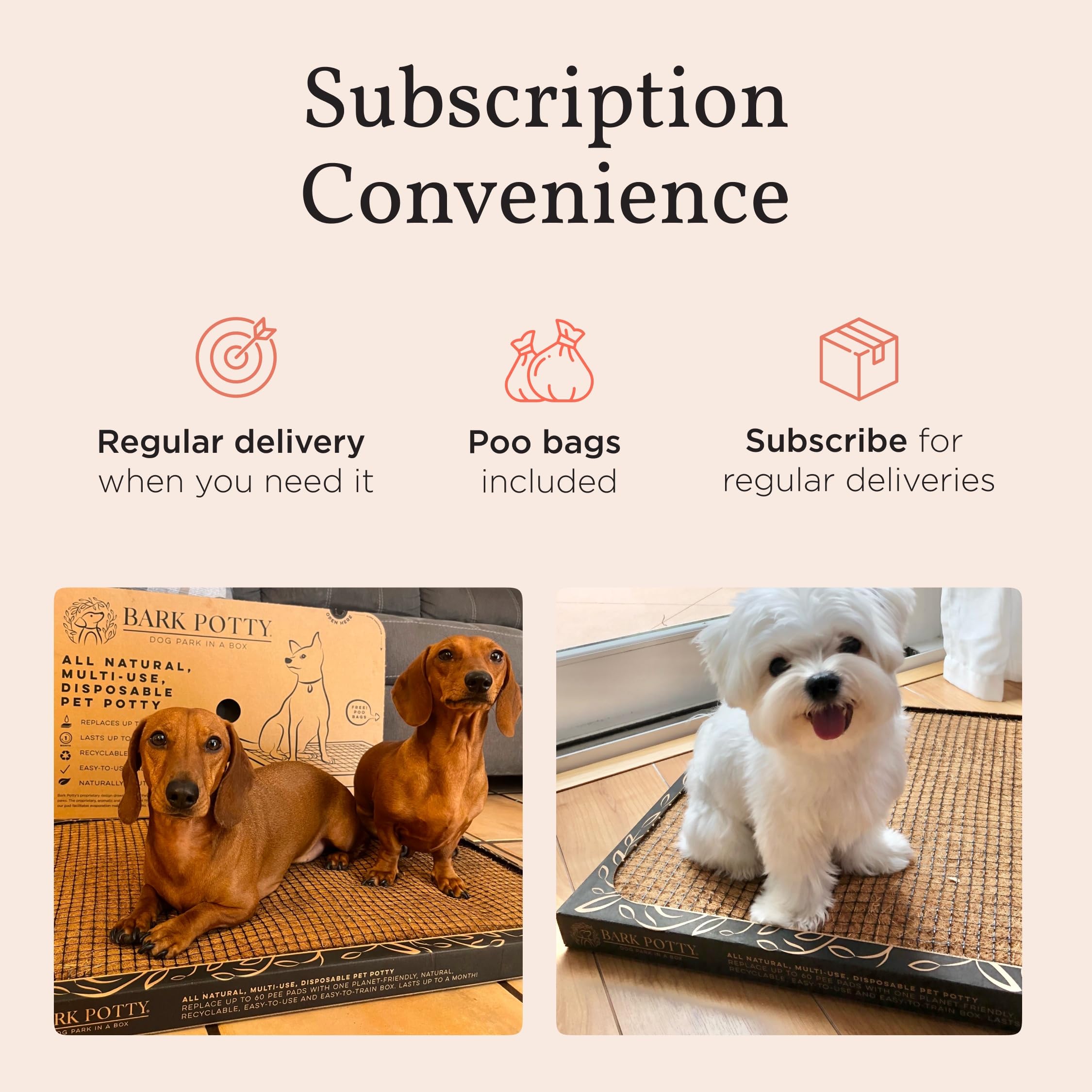 Bark Potty large-30x20 focuses on larger-small dog needs with roomy indoor space