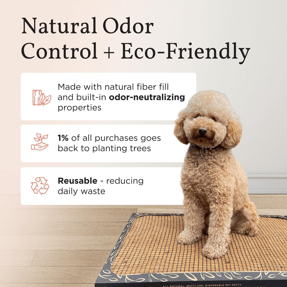 Bark Potty odor-neutralization highlights a fresh, odor-free space for pets indoors