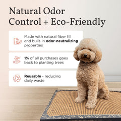 Bark Potty odor-neutralization highlights a fresh, odor-free space for pets indoors