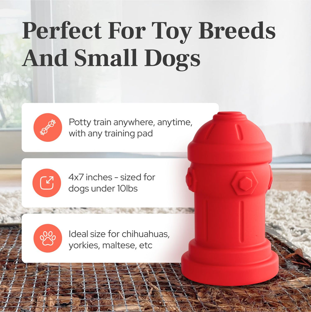 Bark Potty compact-storage image shows easy storage for small spaces