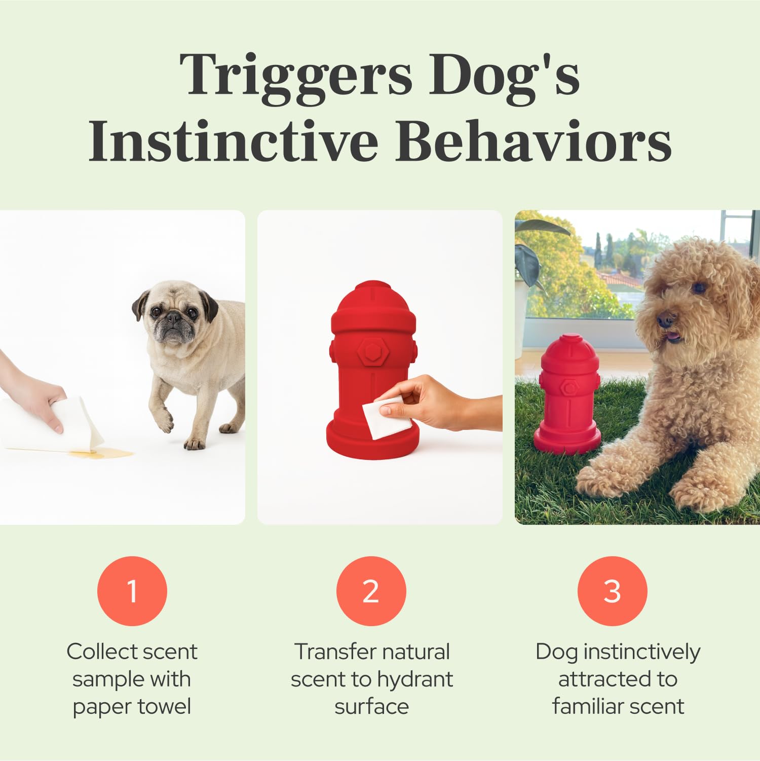 Bark Potty small-dog fire hydrant weighted-stability setup keeps training surface steady