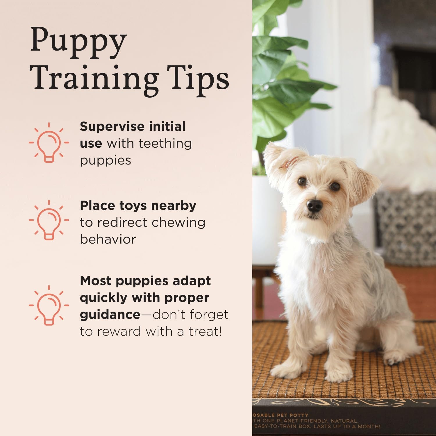 Bark Potty small-dog-size-24x16 illustrates two-size option for compact breeds