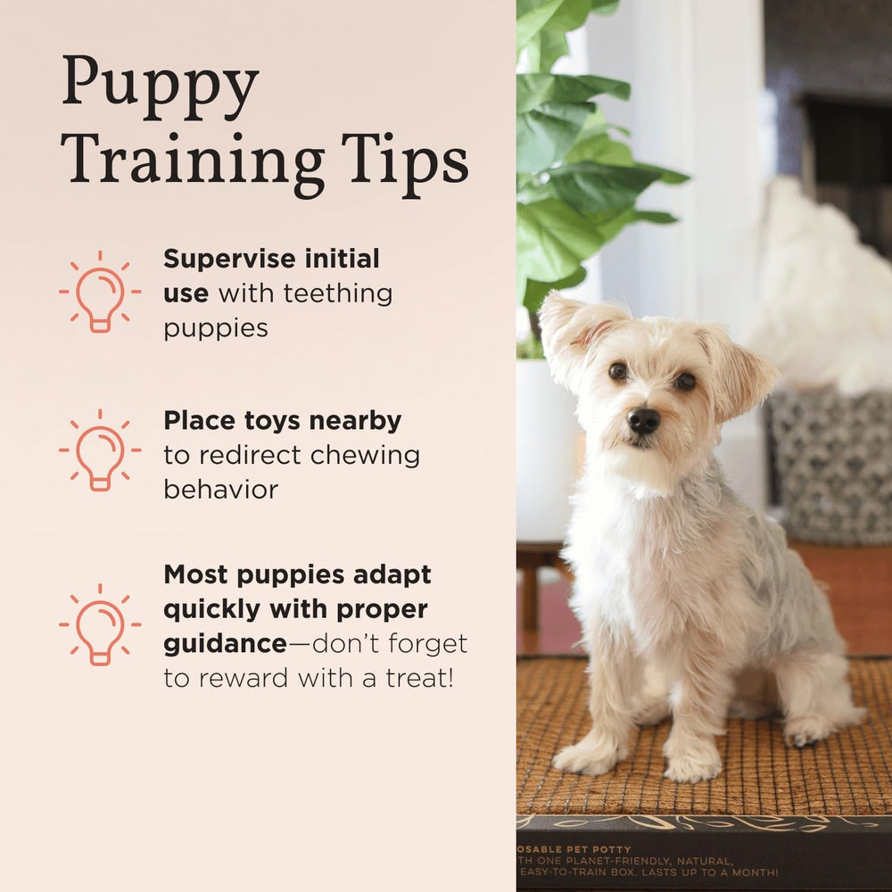 Bark Potty small-dog-size-24x16 illustrates two-size option for compact breeds