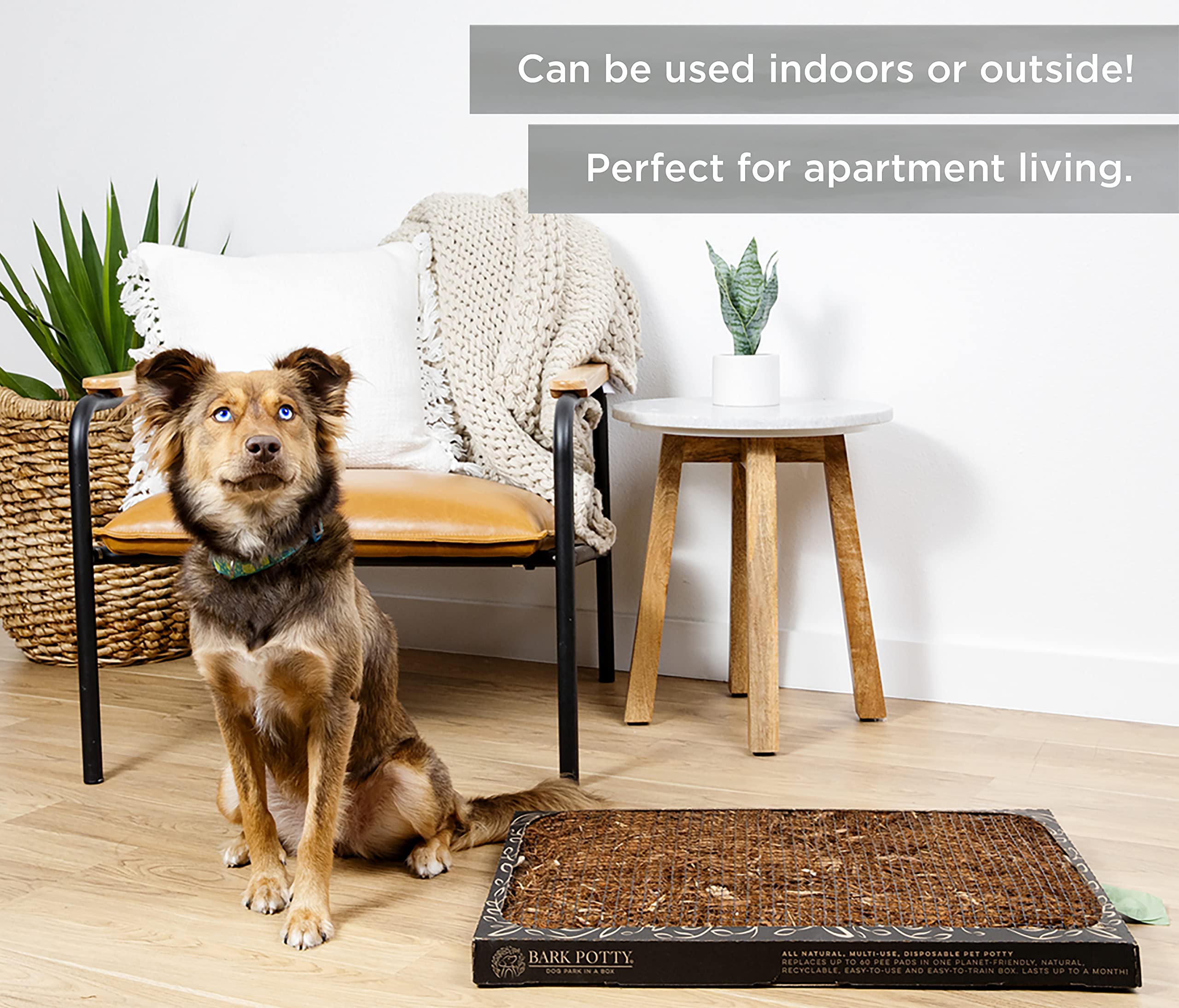 Bark Potty two-sizes-large-standard image compares Large and Standard options