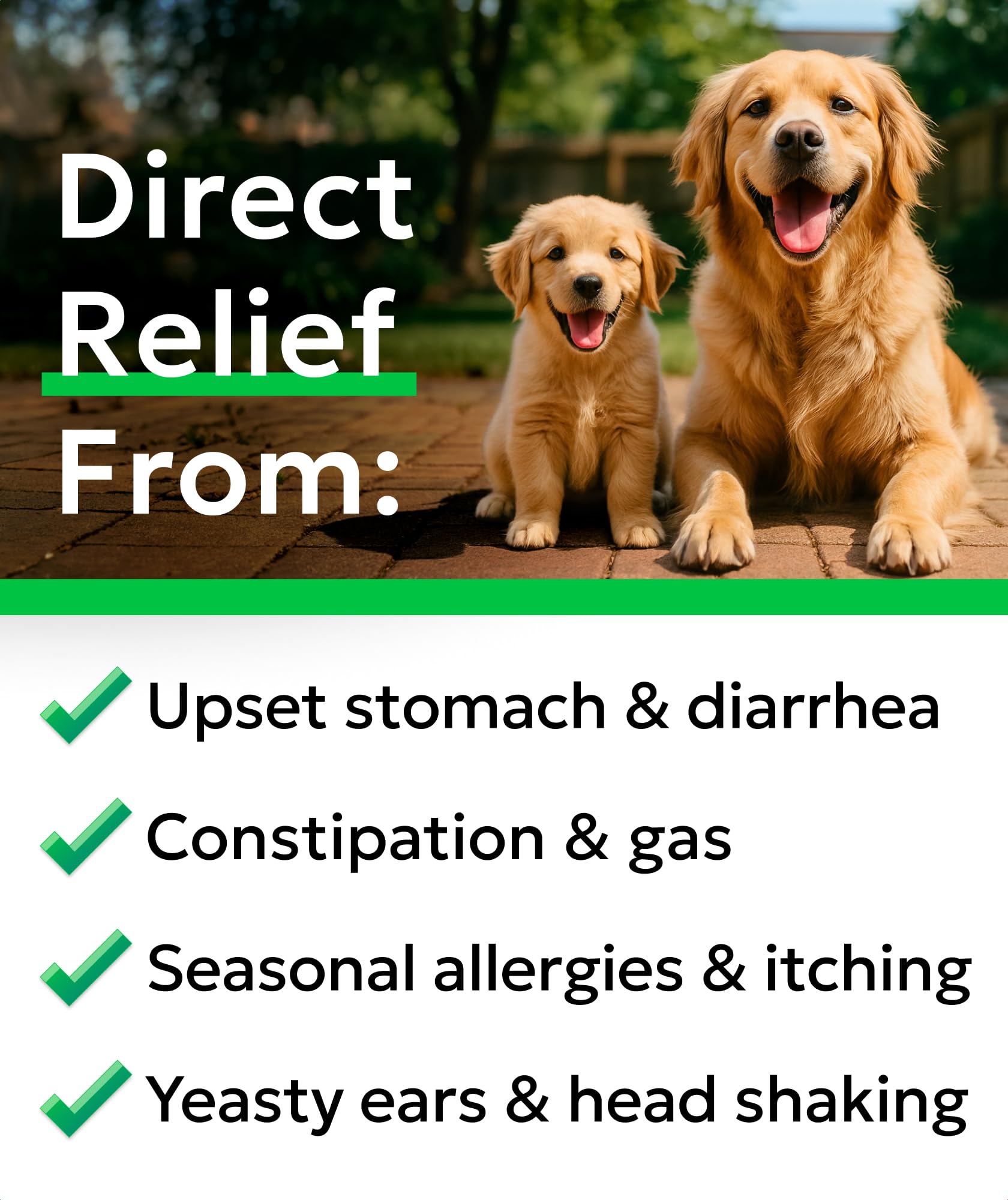 BARK&SPARK enzyme-pumpkin blend label emphasizes fiber and digestive enzyme support for pets.