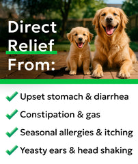 BARK&SPARK enzyme-pumpkin blend label emphasizes fiber and digestive enzyme support for pets.
