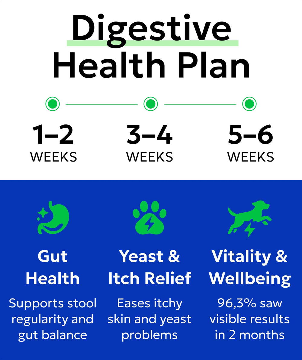 BARK&SPARK itching relief image shows skin comfort through probiotic digestion support.