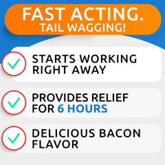 BARK&SPARK Treats for separation aid scene shows convenient chew during car rides.