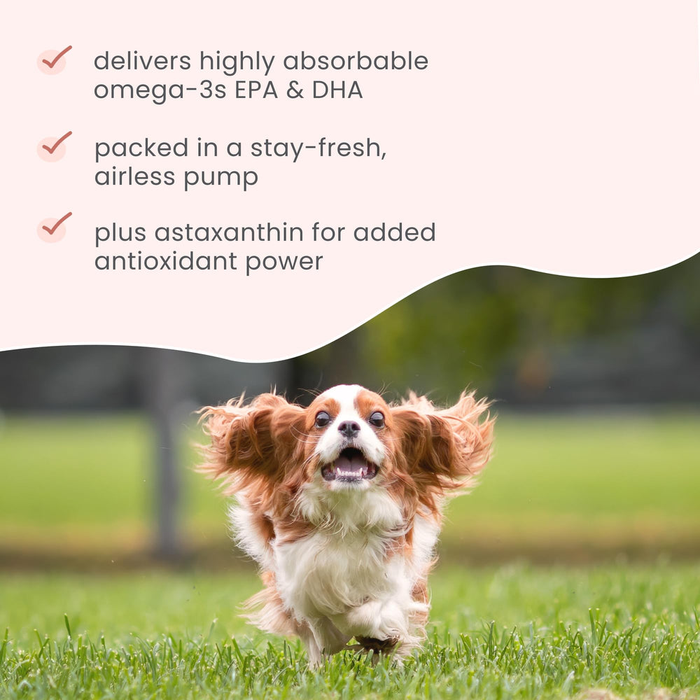 Bark & Whiskers pet use-scene—owners administering daily dose with ease.