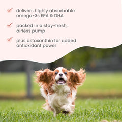 Bark & Whiskers pet use-scene—owners administering daily dose with ease.