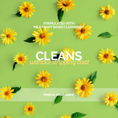 Bark2Basics shampoo lather demonstrates deep cleaning and deodorizing performance.