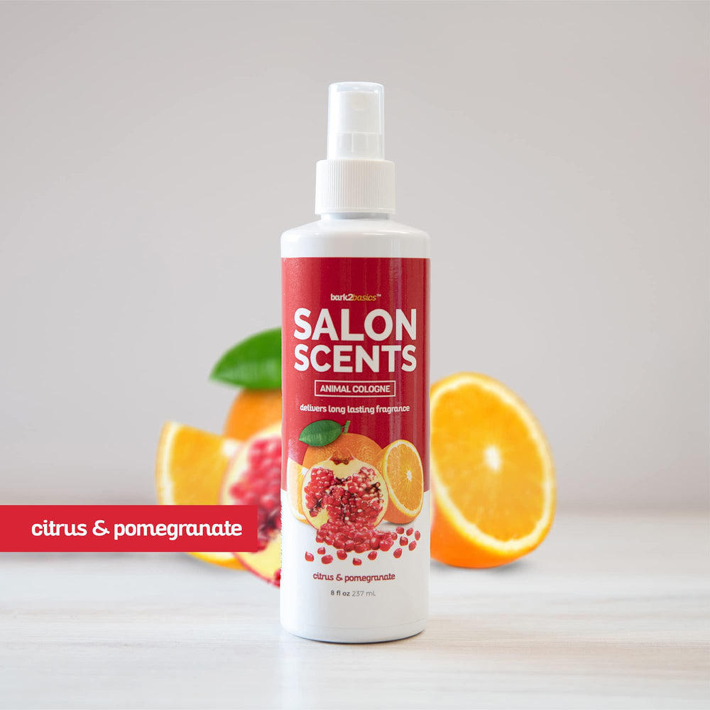 Bark2Basics Salon Scents professional-use scene emphasizes salon-grade performance