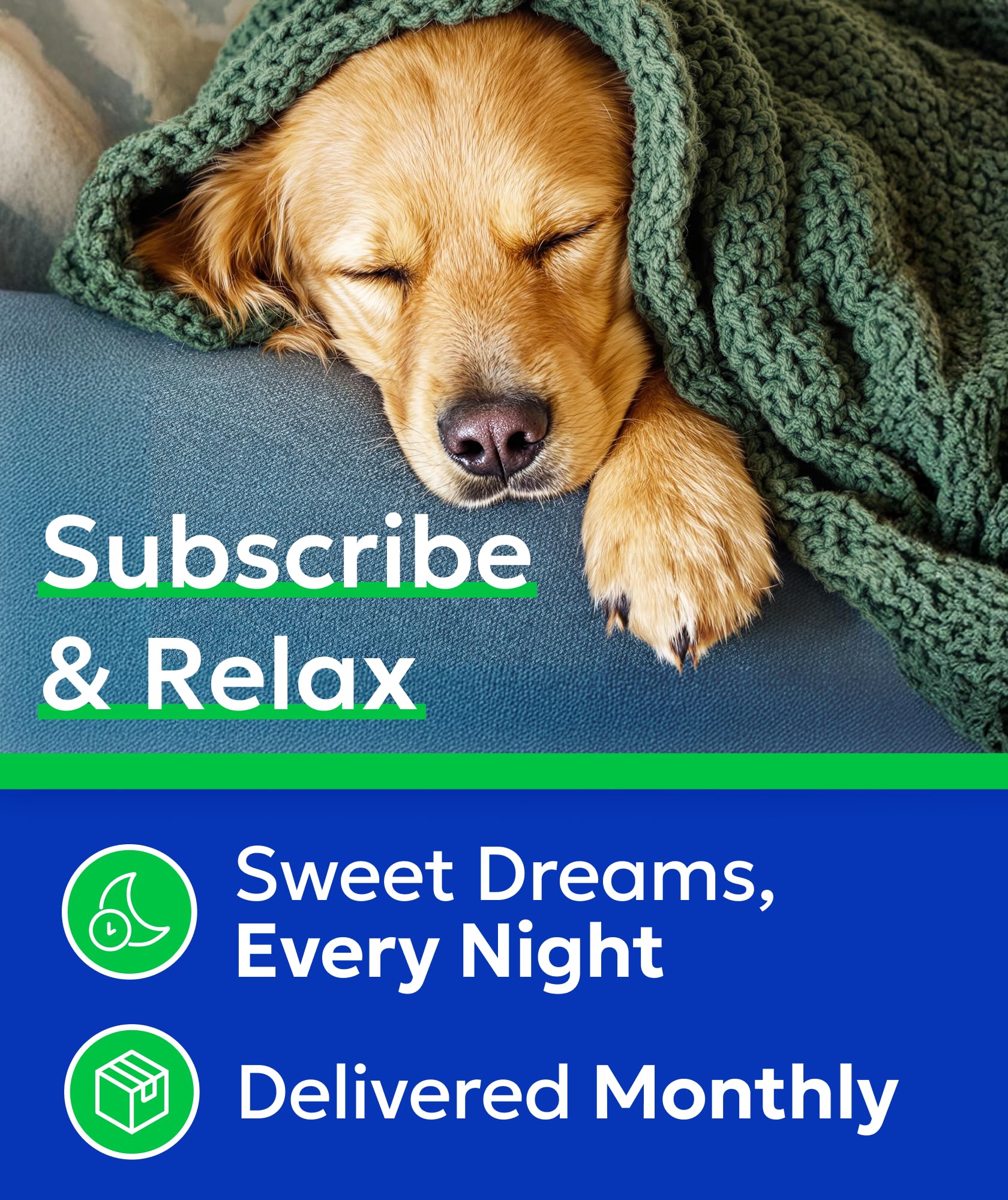 BARK&SPARK chews suitable for puppies to seniors for daily routine support.