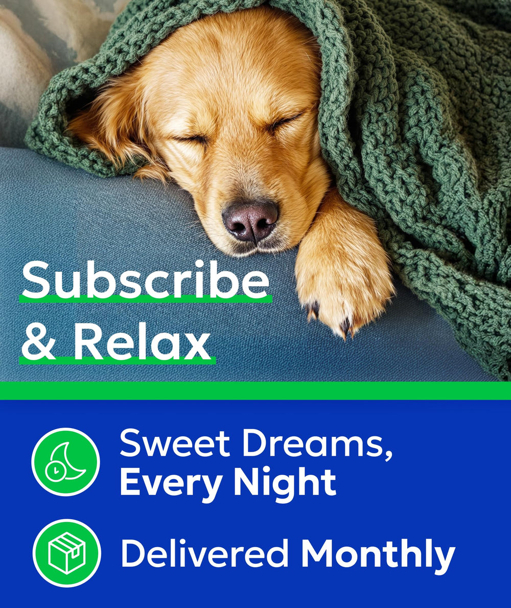 BARK&SPARK chews suitable for puppies to seniors for daily routine support.