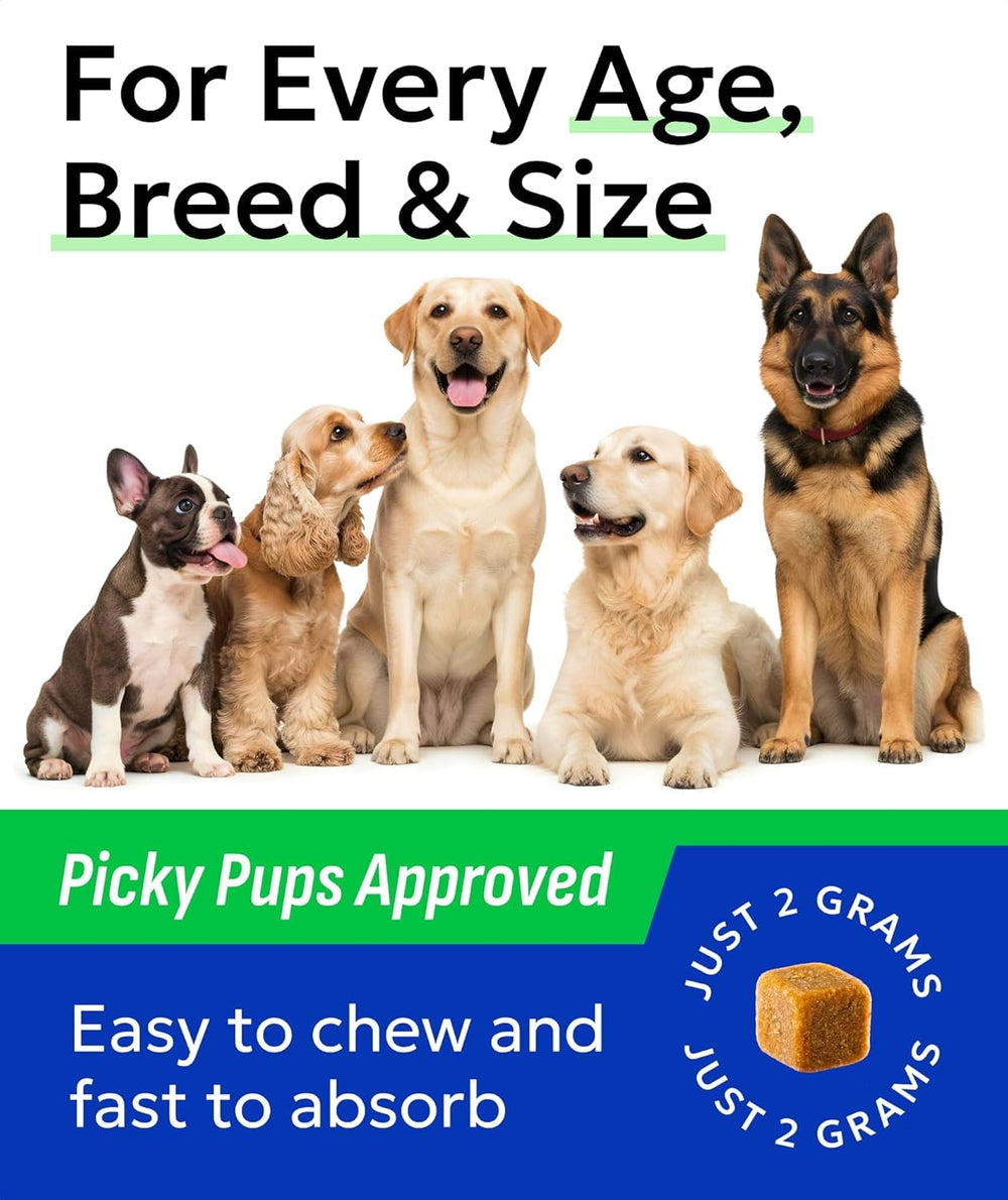 BARK&SPARK shiny coat closeup communicates healthy fur and vitality