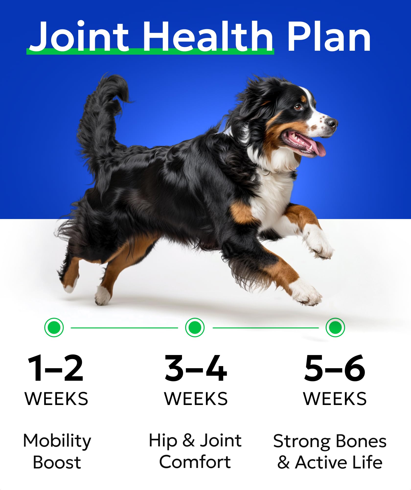 BARK&SPARK chicken-flavored chews ideal for daily joint support.