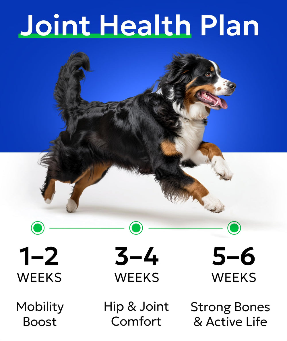 BARK&SPARK chicken-flavored chews ideal for daily joint support.