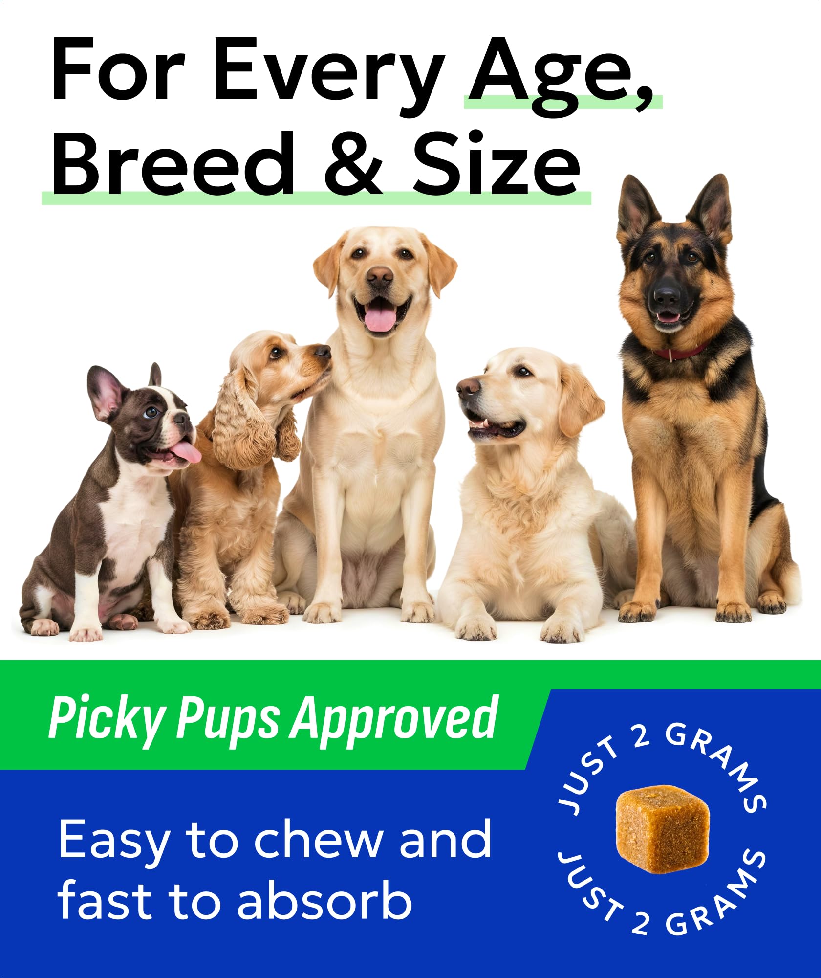 BARK&SPARK daily-use chews shown as part of a routine.