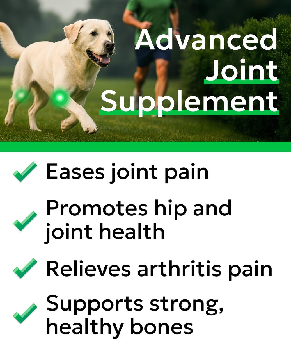 BARK&SPARK hip joint chews bottle highlighting convenient dosing.