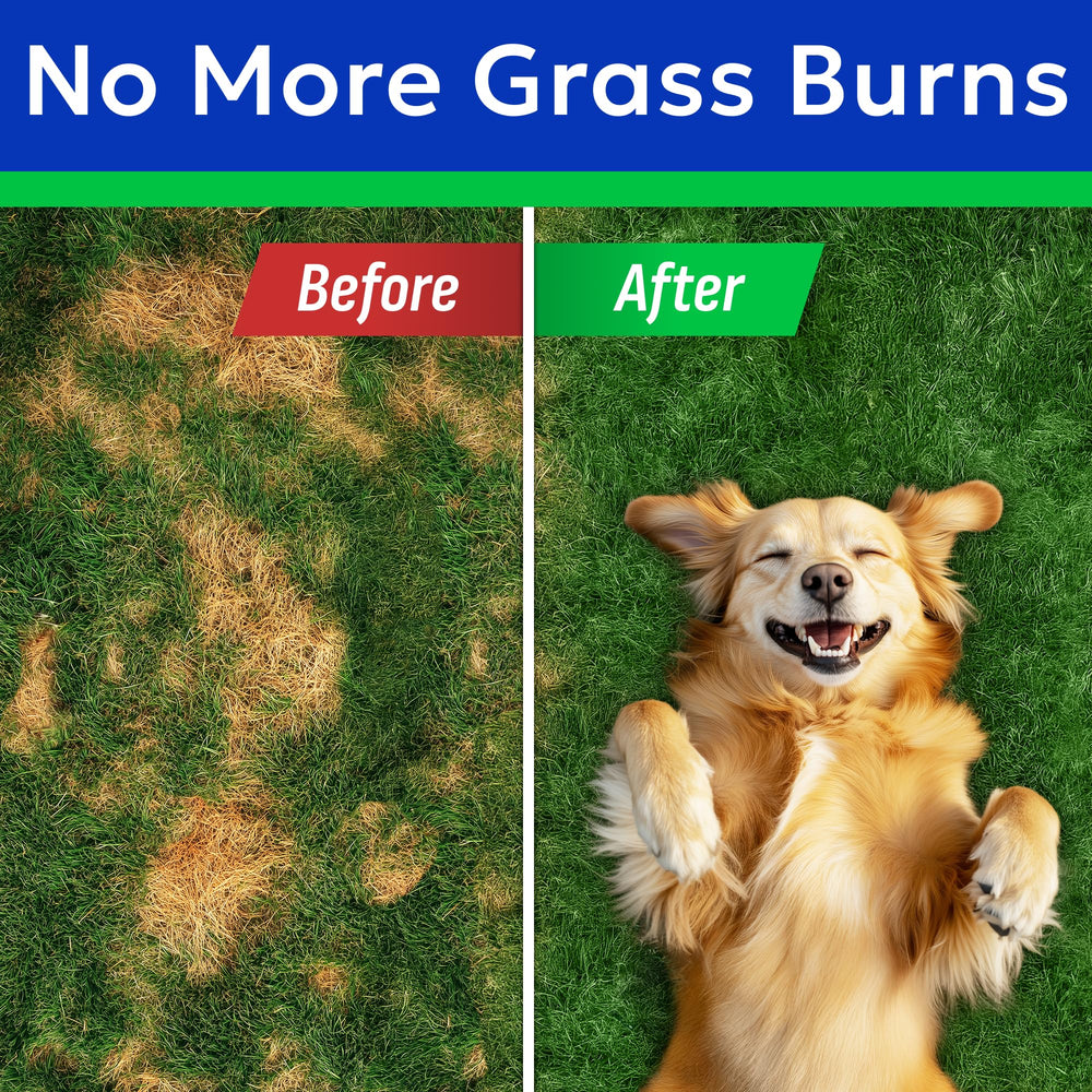 BARK&SPARK Green Grass Chews dog chewing close-up demonstrates tasty use