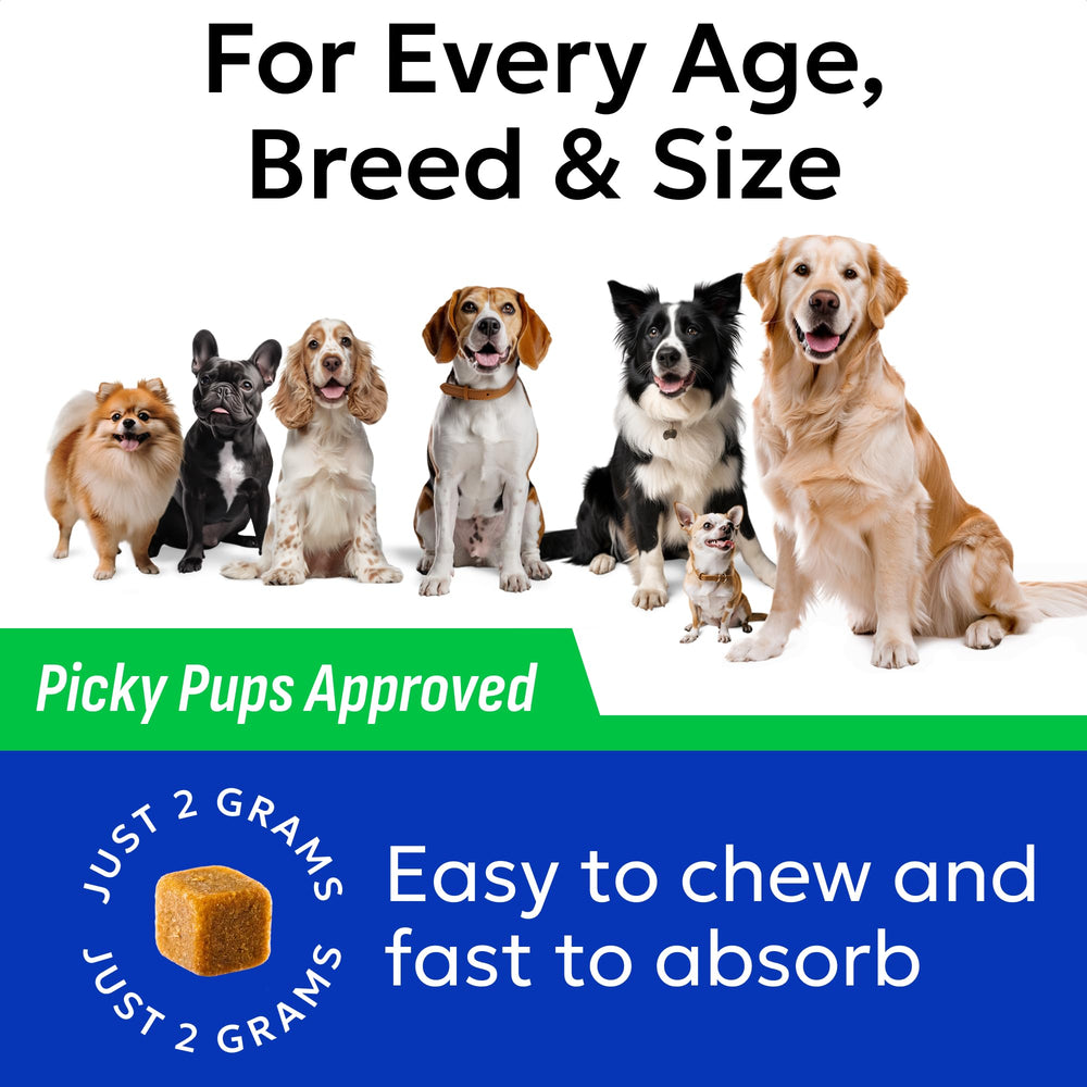 BARK&SPARK Green Grass Chews dog in yard shows lawn protection potential