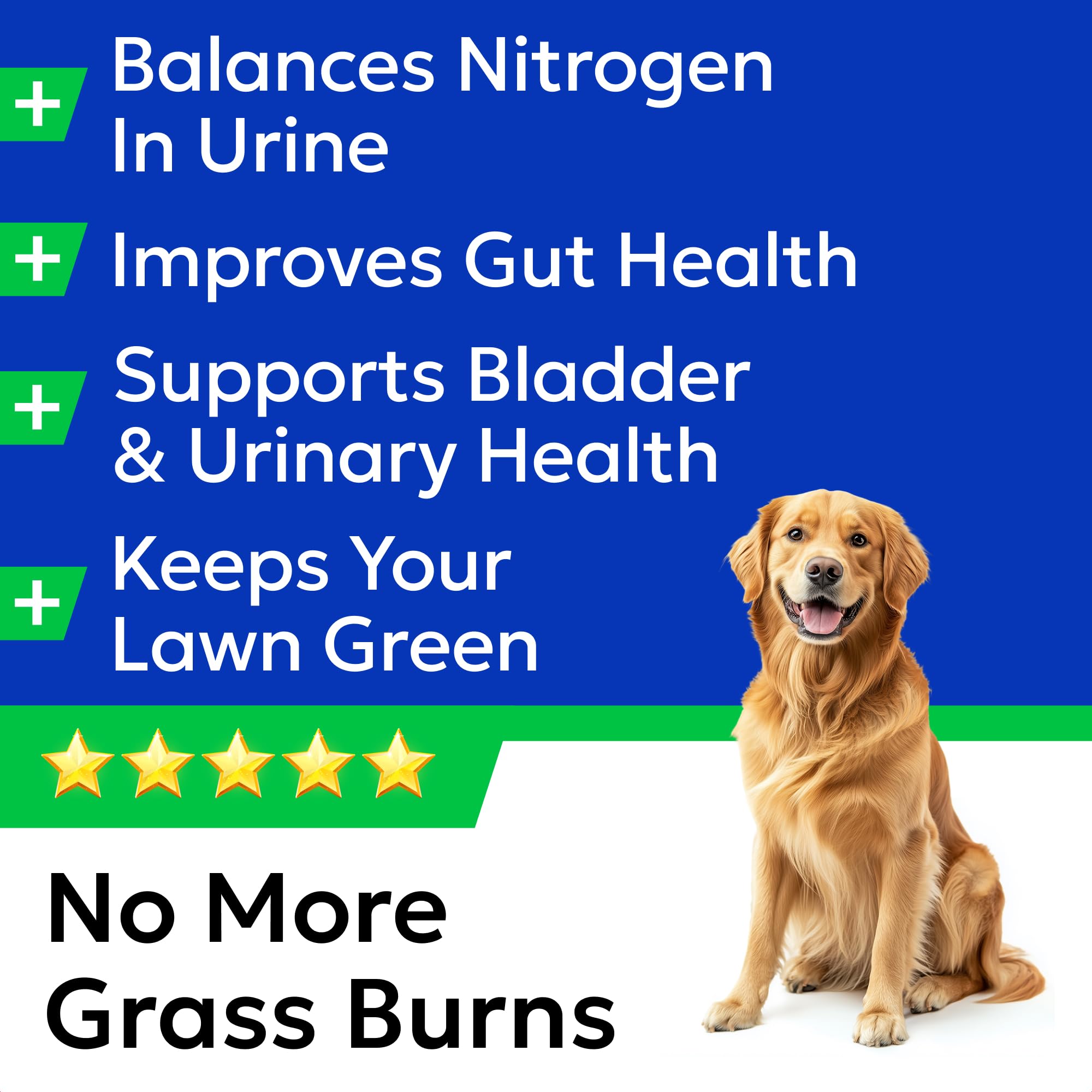 BARK&SPARK Green Grass Chews ingredients blend highlighted for effectiveness