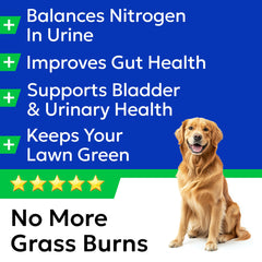 BARK&SPARK Green Grass Chews ingredients blend highlighted for effectiveness