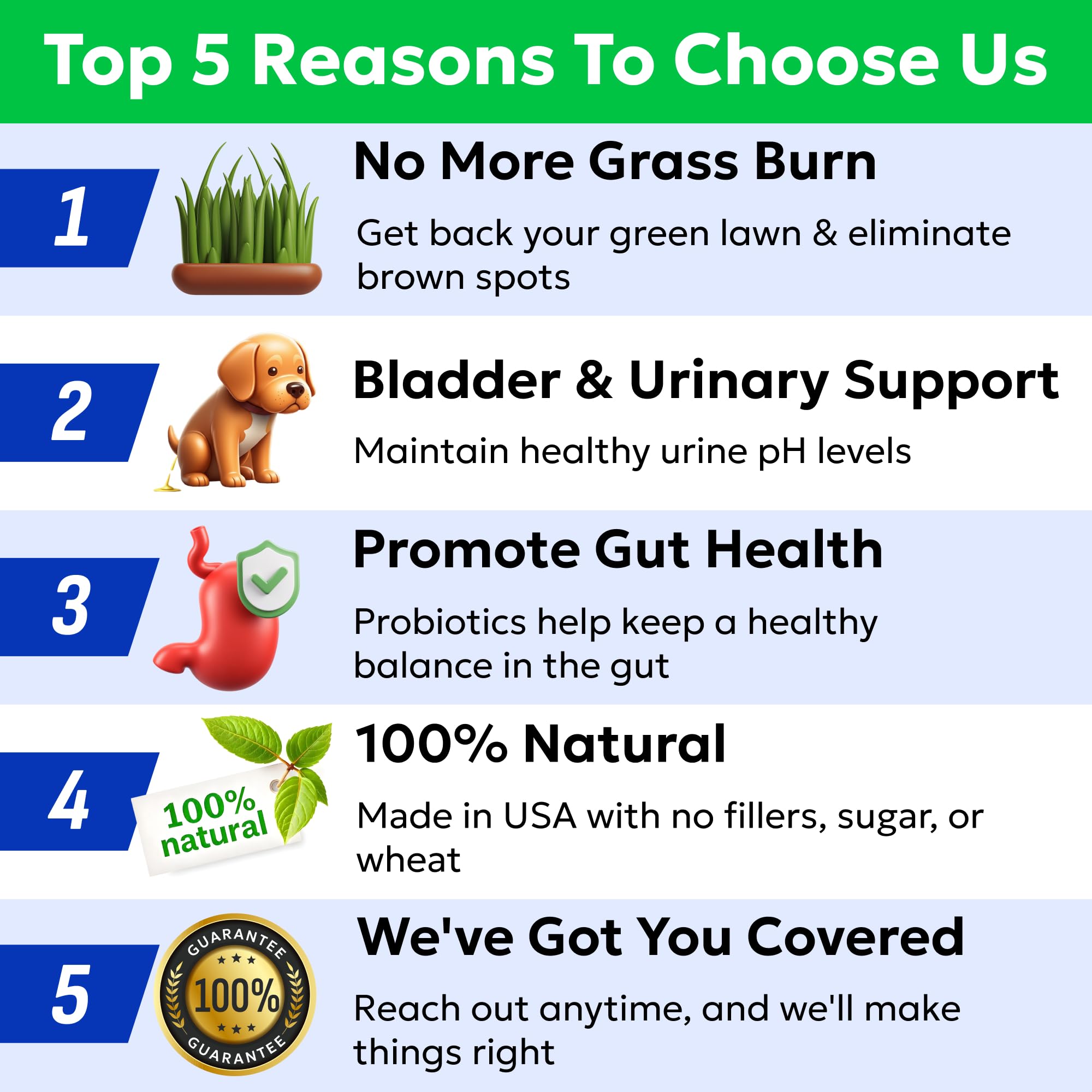 BARK&SPARK Green Grass Chews urine-spot protection in lush lawn