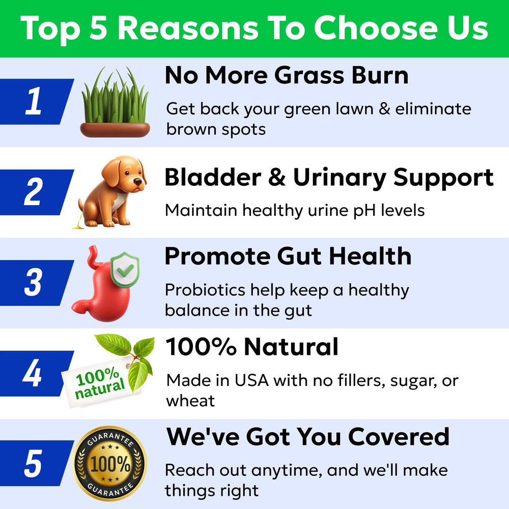 BARK&SPARK Green Grass Chews urine-spot protection in lush lawn