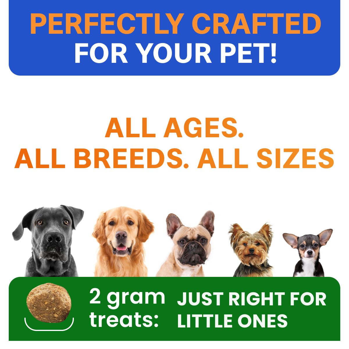 BARK&SPARK large-breed friendly probiotic chews resting on a paw.