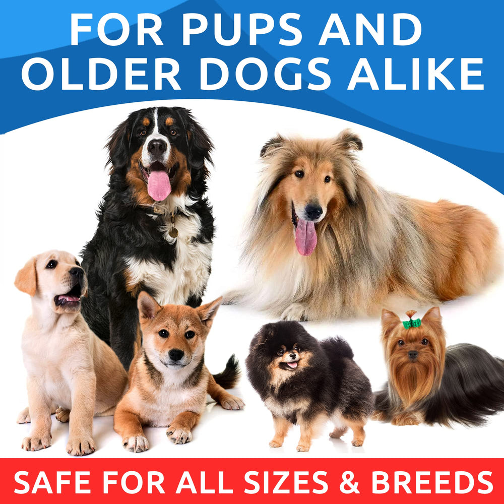 BARK&SPARK Omega 3 dog running with joint support implication