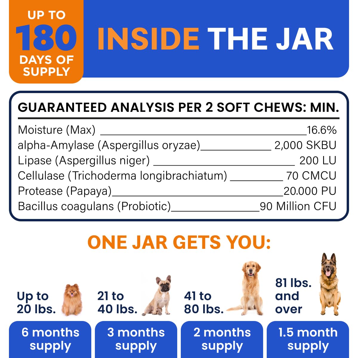 BARK&SPARK vet-recommended probiotic chew in blister pack for dog gut and coat health.