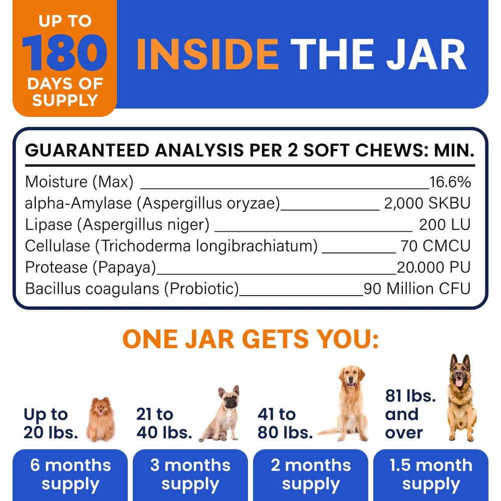 BARK&SPARK vet-recommended probiotic chew in blister pack for dog gut and coat health.