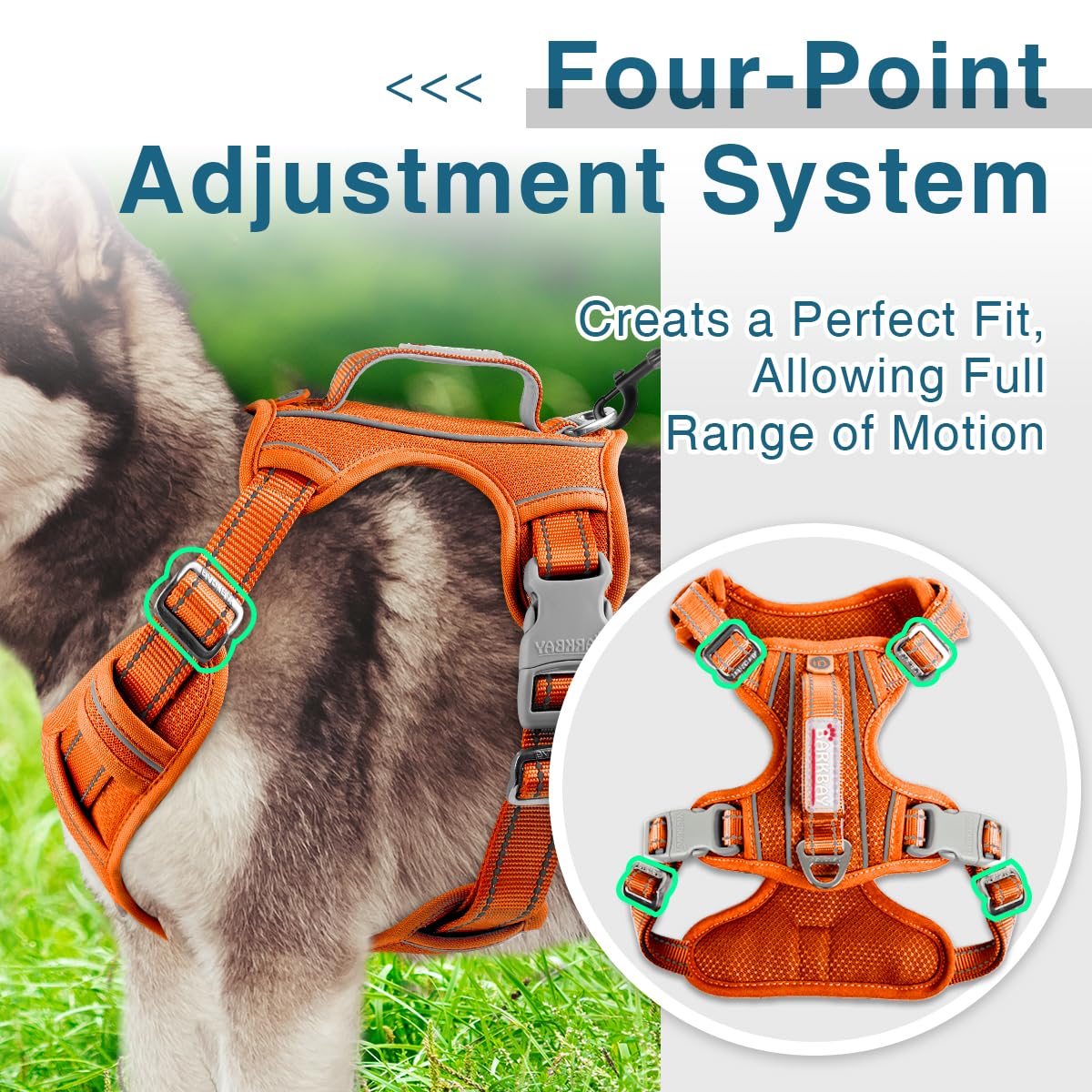 BARKBAY adjustable-fit harness demonstrates snug, customizable fit