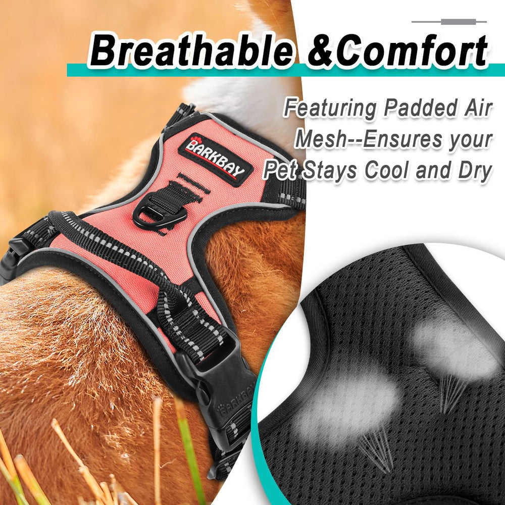 BARKBAY adjustable straps provide secure fit for various breeds