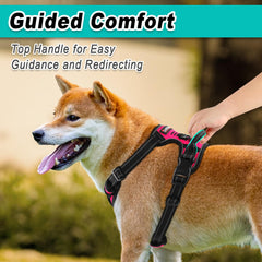 BARKBAY adjustable straps provide a snug, secure fit for many dog sizes.