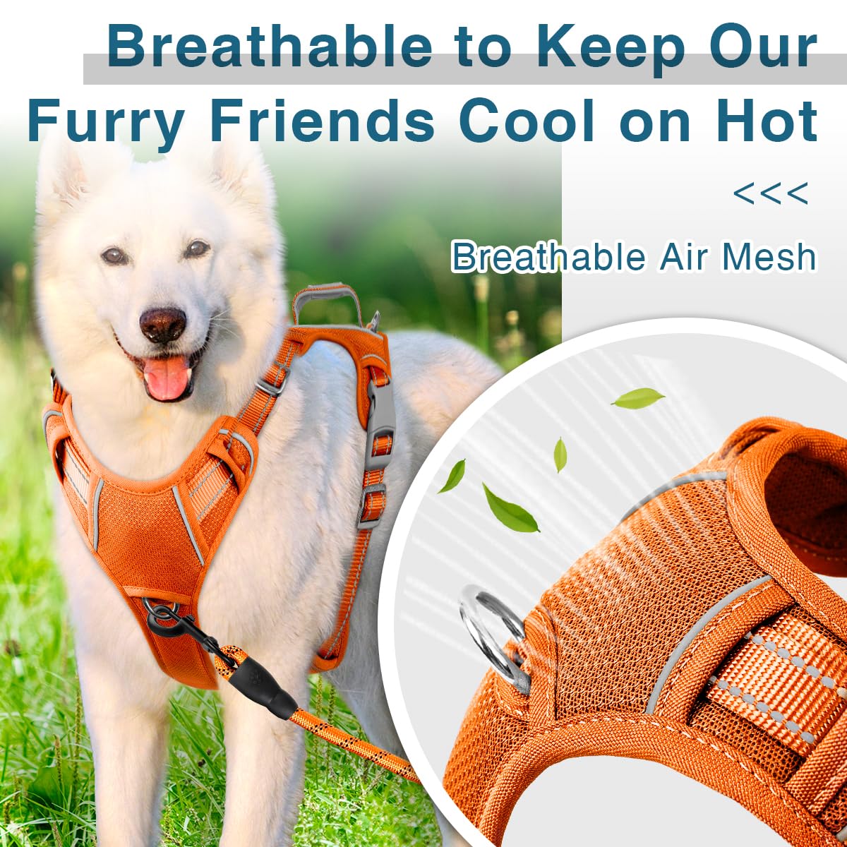 BARKBAY air mesh comfort harness keeps dogs cool in orange.