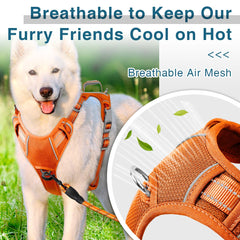 BARKBAY air mesh comfort harness keeps dogs cool in orange.