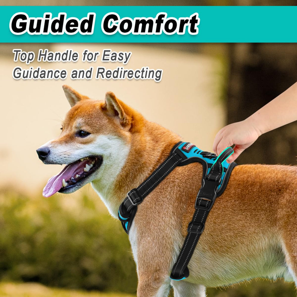 BARKBAY blue Oxford material harness highlights durable outdoor wear.