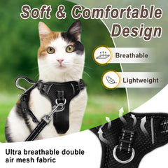 BARKBAY escape-proof harness design demonstrates secure fit during playful outdoor adventures.