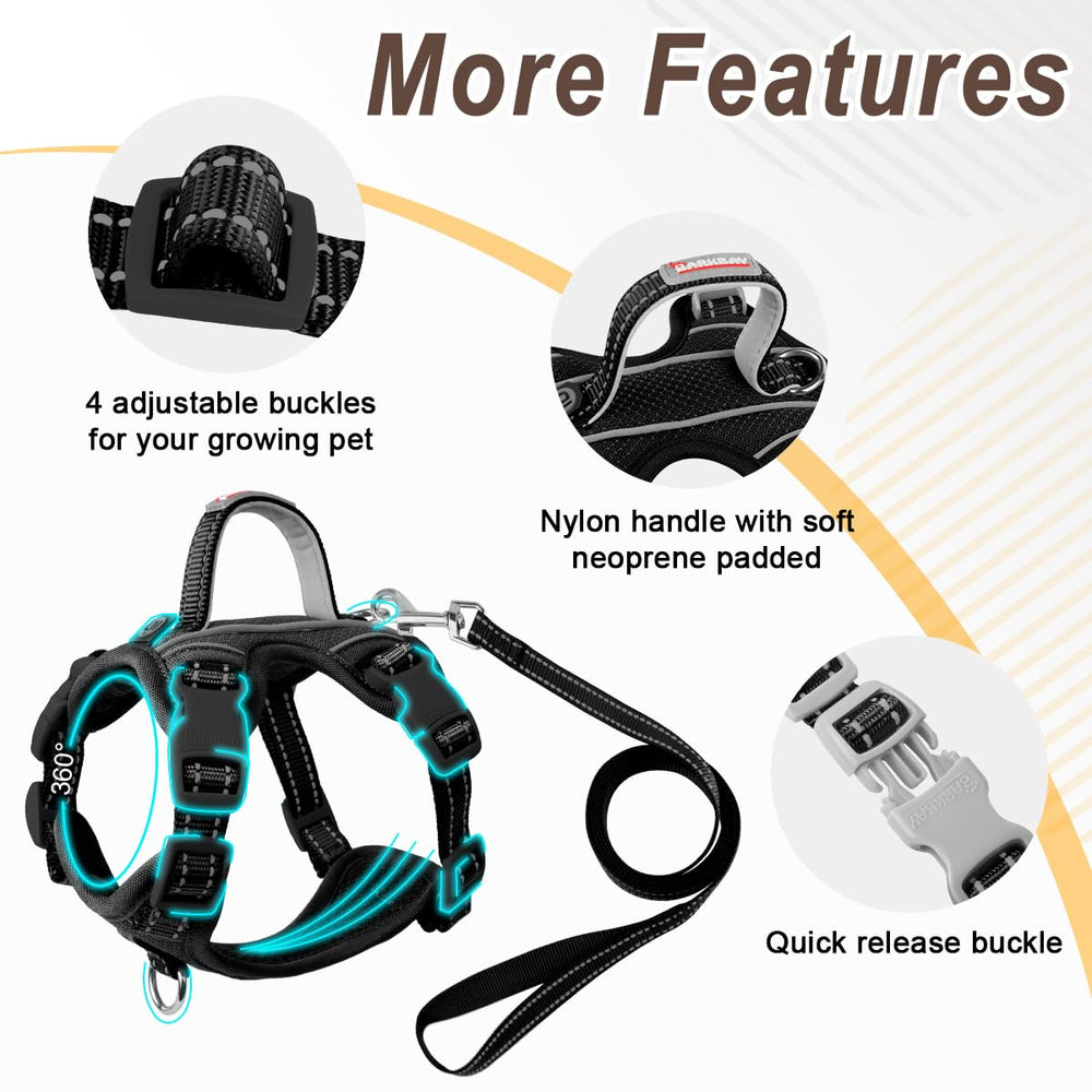 BARKBAY lightweight top handle offers extra safety during handling.