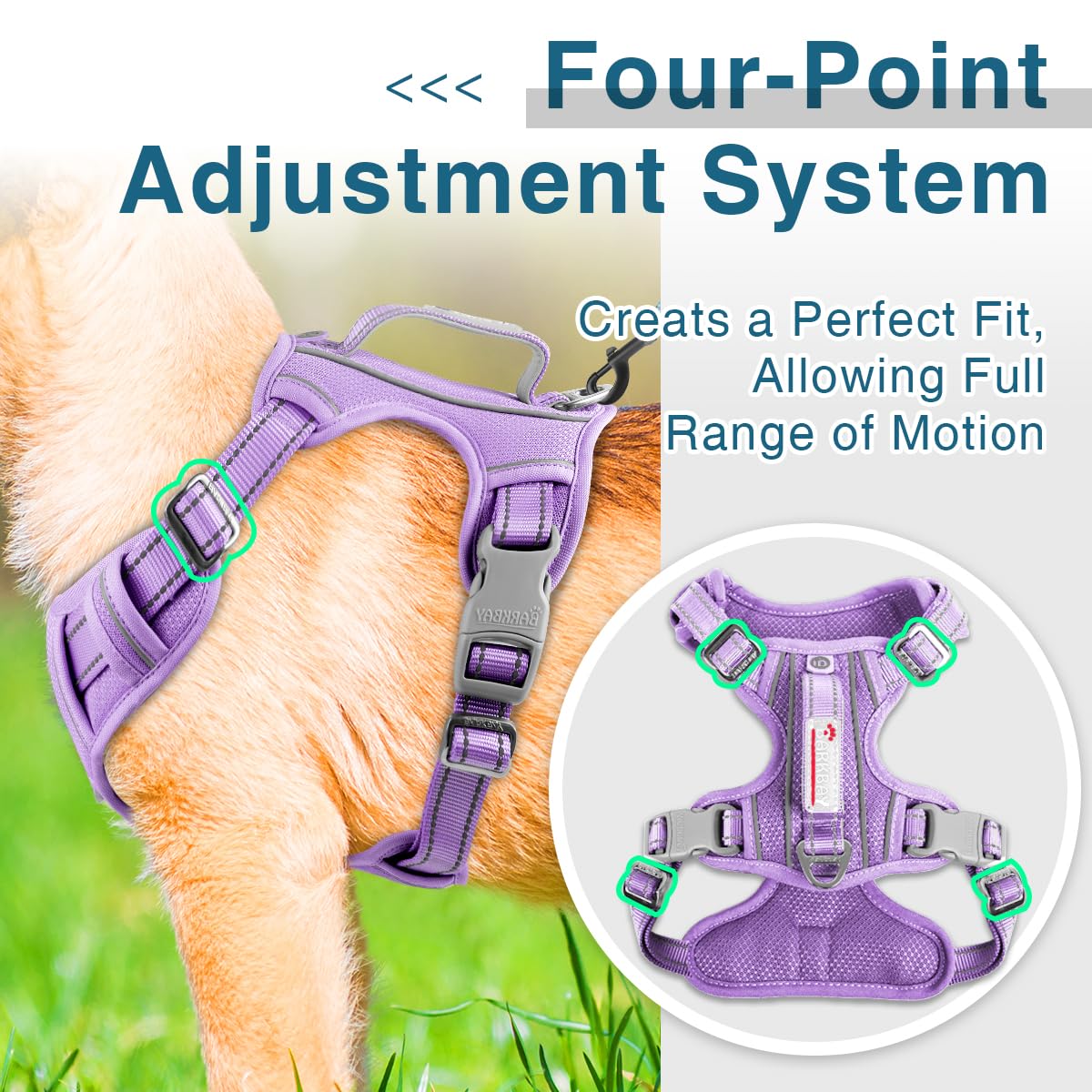 BARKBAY adjustable-fit harness adapts to growing dogs and comfort needs