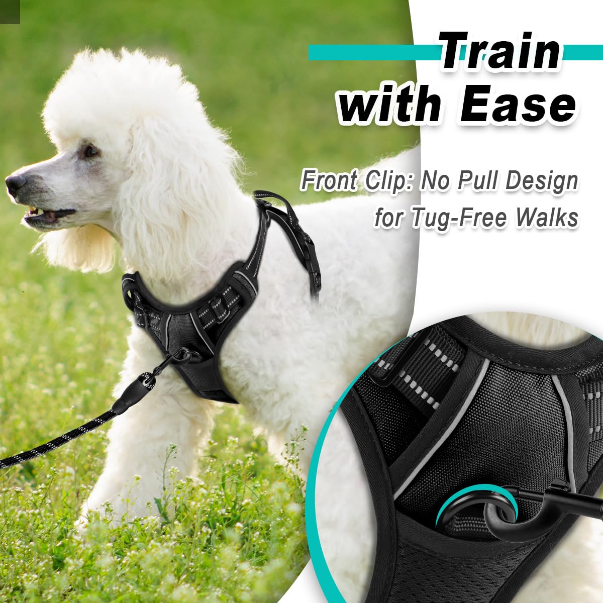 BARKBAY adjustable strap system provides a snug, secure fit for growing small dogs.