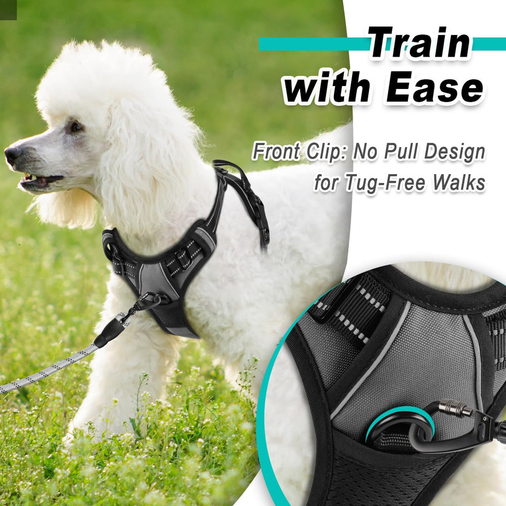 BARKBAY adjustable straps ensure a secure, snug fit for small dogs