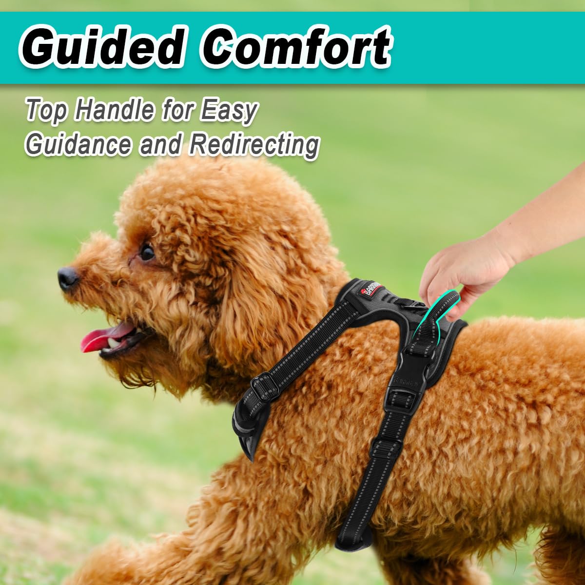 BARKBAY breathable materials deliver comfort on long walks