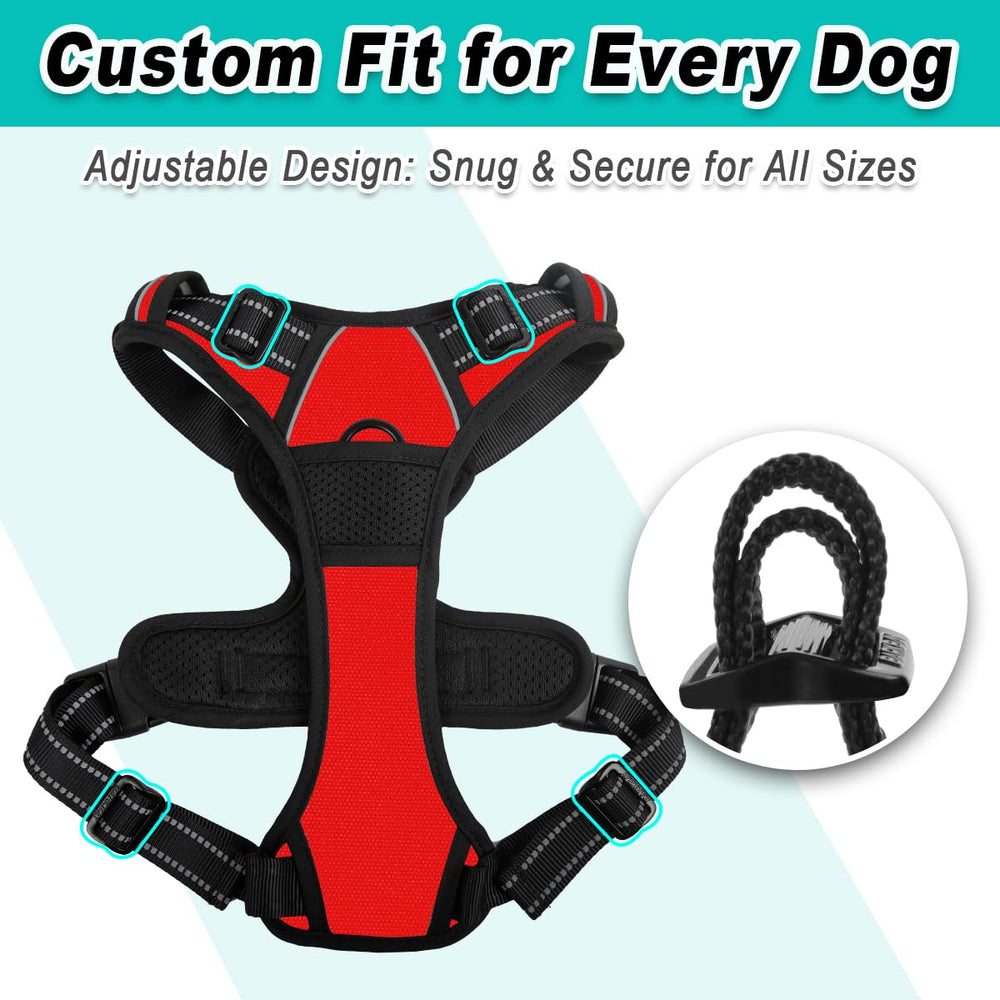 BARKBAY Durable Construction stands up to active outdoor adventures with confidence.