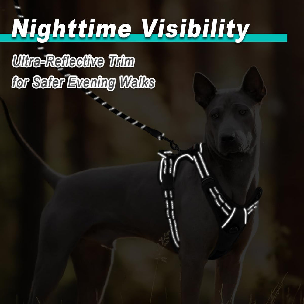 BARKBAY dog-harness durable outer shell for outdoor use