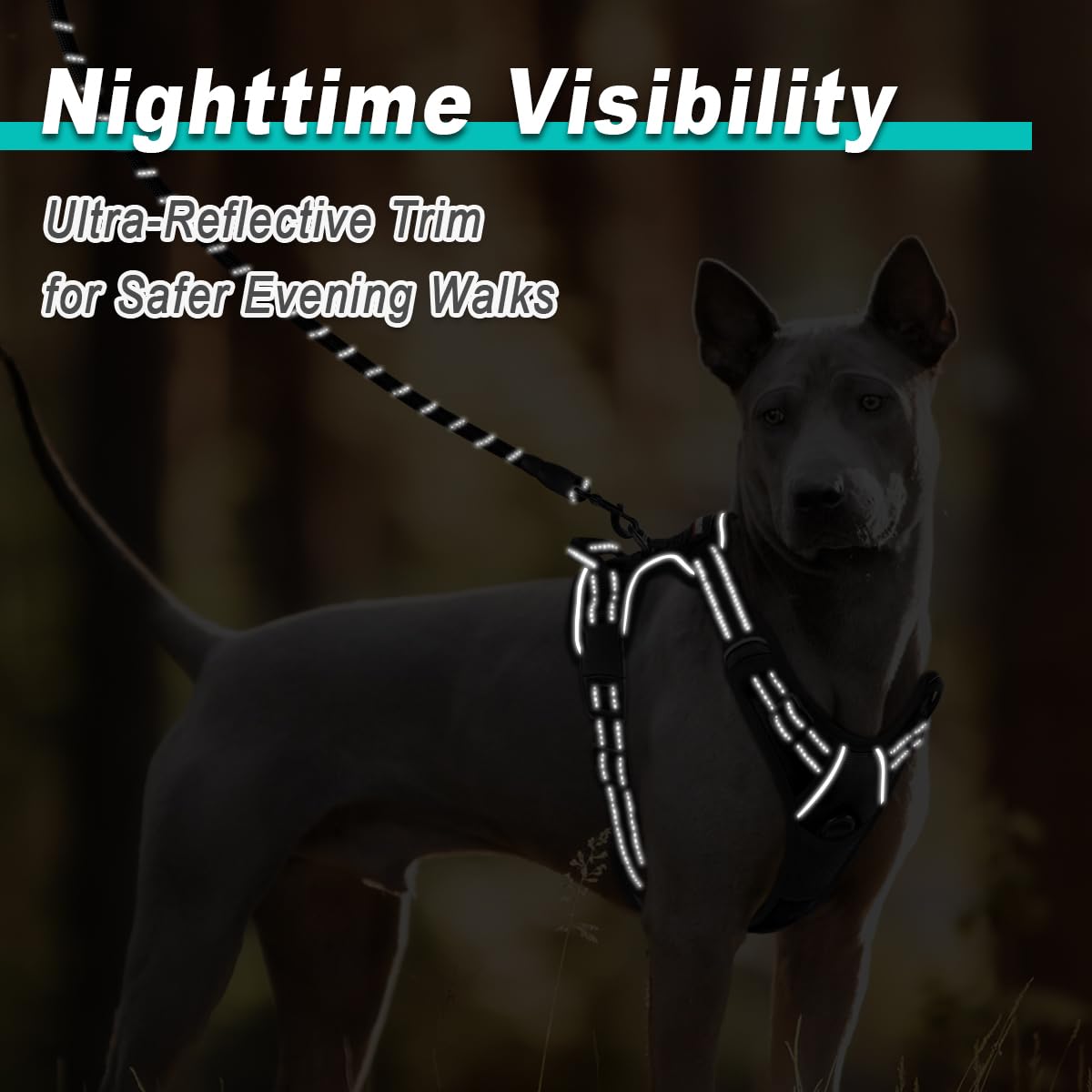 BARKBAY dog harness durable outer shell withstands outdoor adventures
